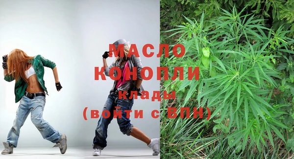 ECSTASY Тайга