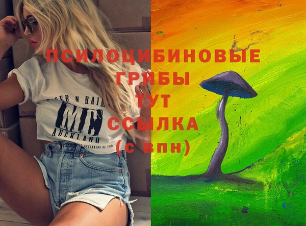 соль ск Аркадак